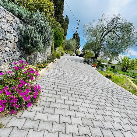 Fotis And Linda In *